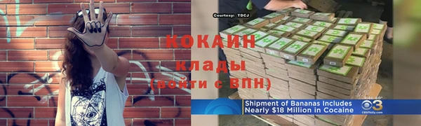 амф Елизово