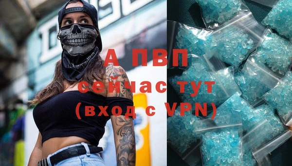 амф Елизово