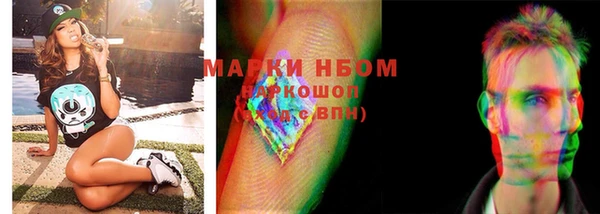 амф Елизово