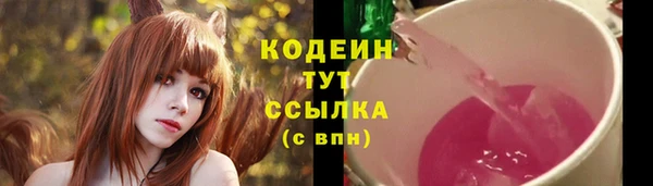амф Елизово