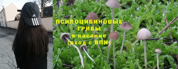 амф Елизово