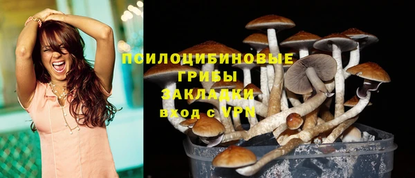 амф Елизово