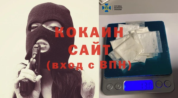 амф Елизово