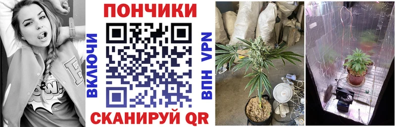 МАРИХУАНА OG Kush  Купить закладки  Сосновый Бор 